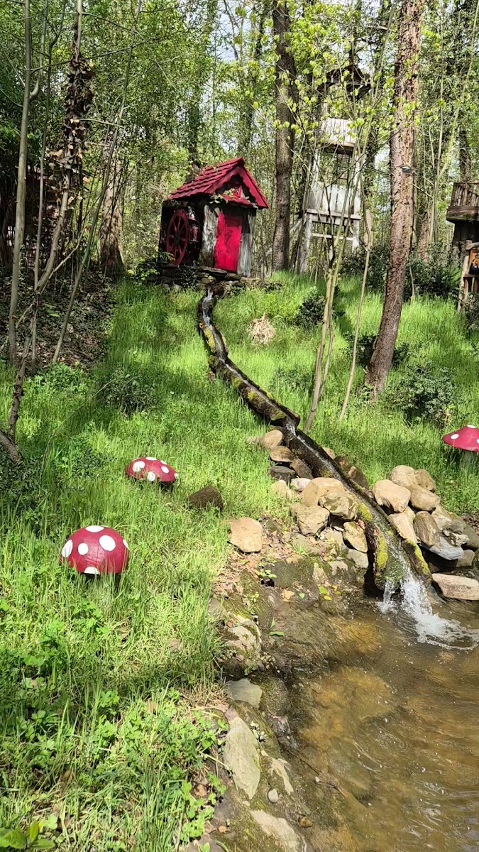 Ormanya — fotoğraf 2