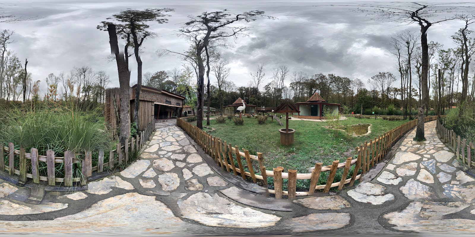 Ormanya — fotoğraf 5