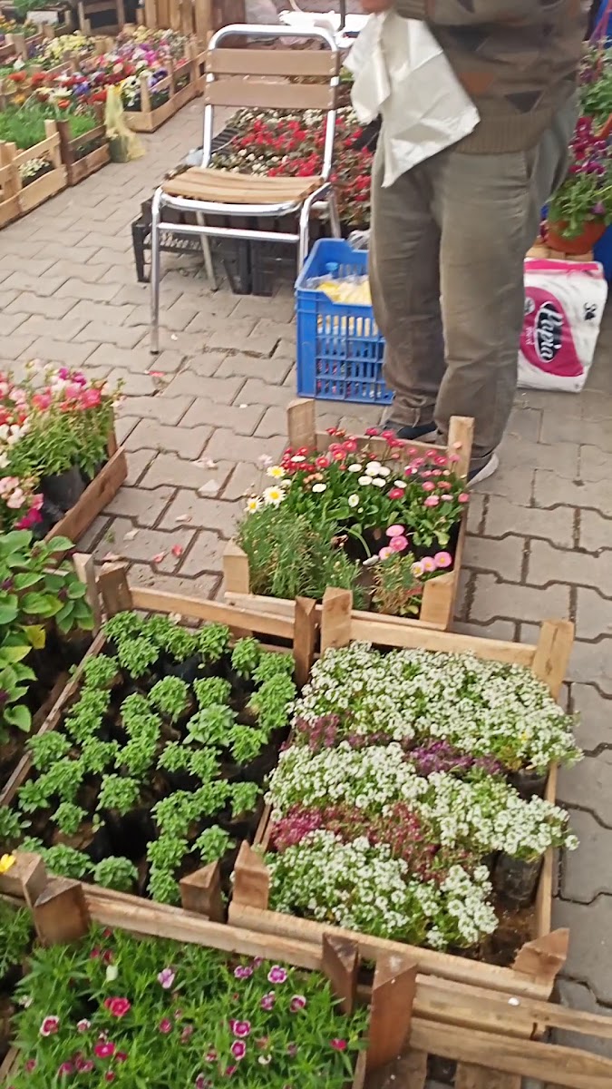 Ortaca Pazaryeri — fotoğraf 3