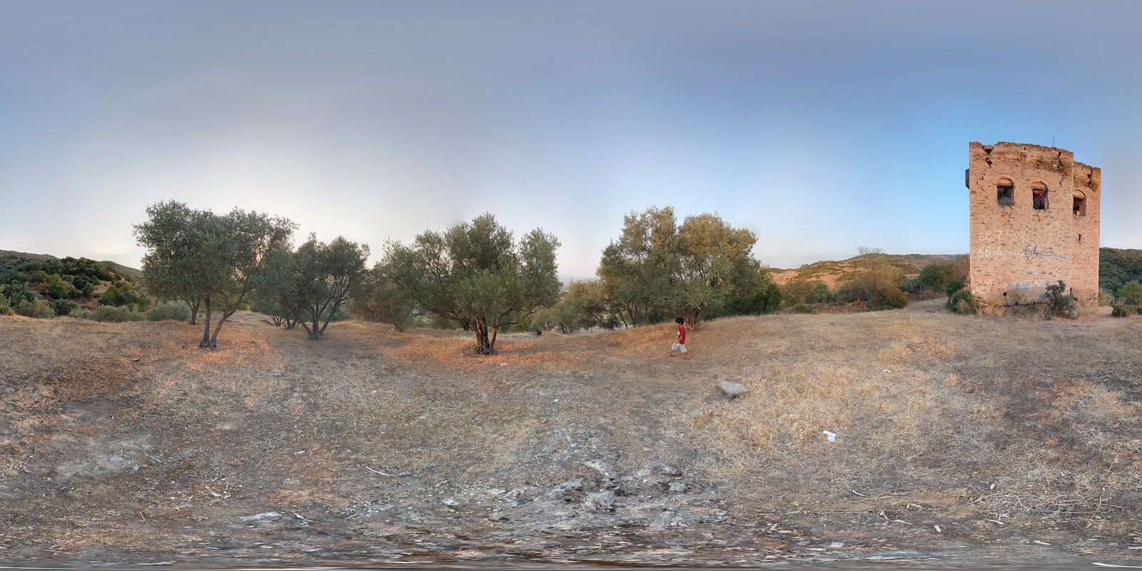 Orthosia — fotoğraf 2