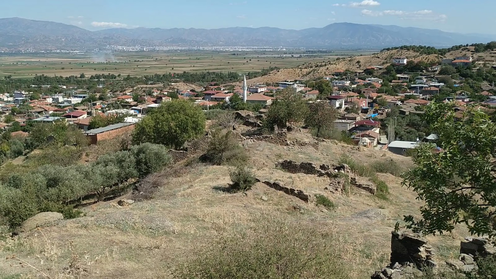 Orthosia — fotoğraf 3