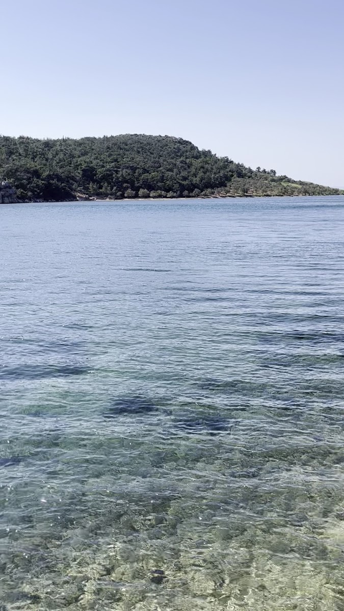 Ortunç Koyu — fotoğraf 3