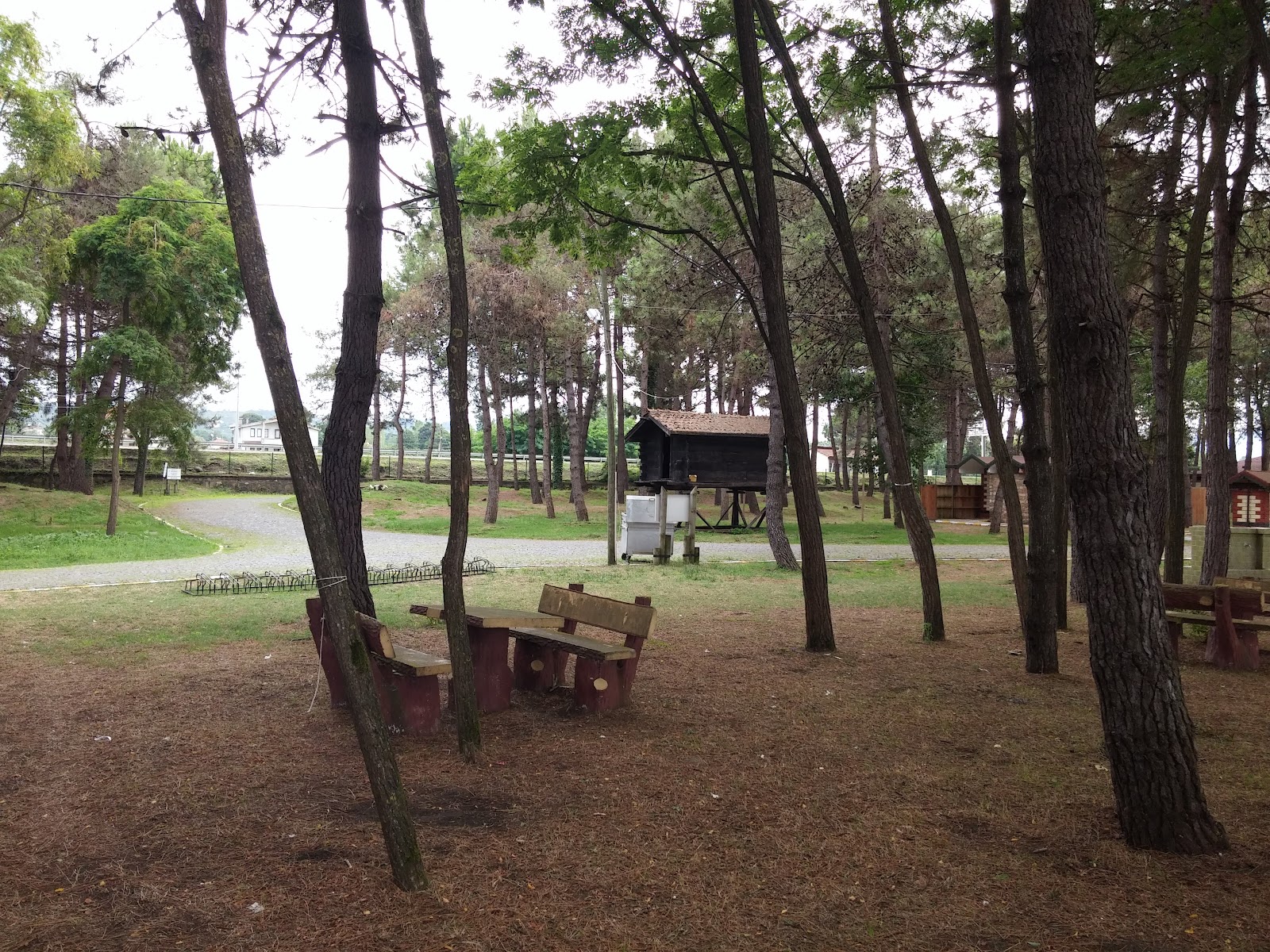 ORTUR Çınarsuyu Tabiat Parkı ve Sosyal Tesisleri — fotoğraf