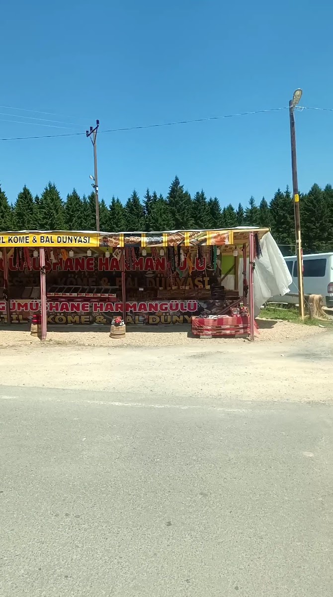Örümcek Ormanı Tabiatı Koruma Alanı — fotoğraf 2