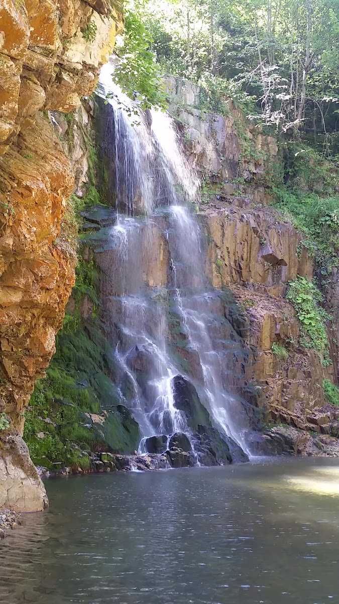 Örümcek Ormanı Tabiatı Koruma Alanı — fotoğraf 3
