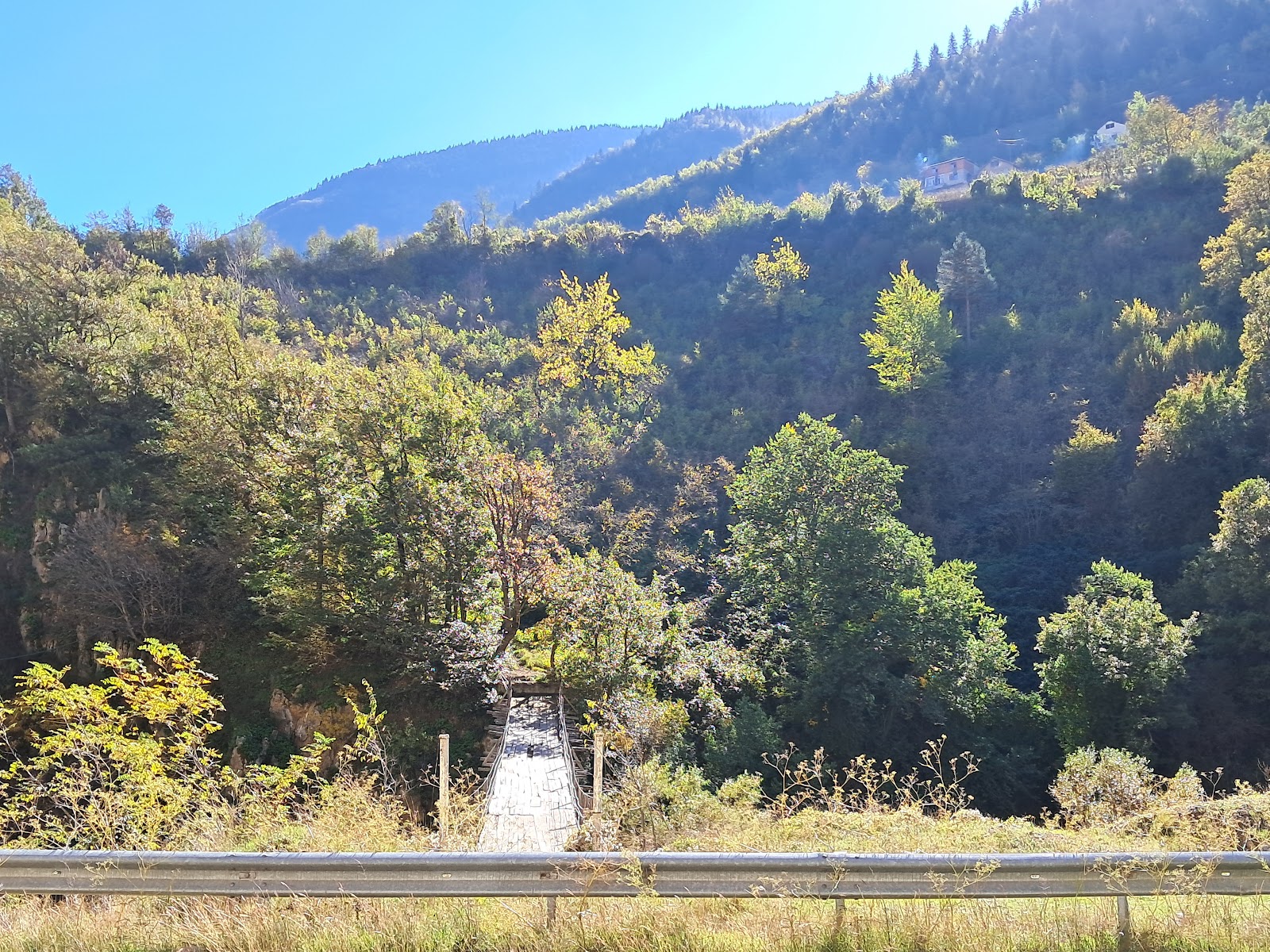 Örümcek Ormanı Tabiatı Koruma Alanı — fotoğraf 5