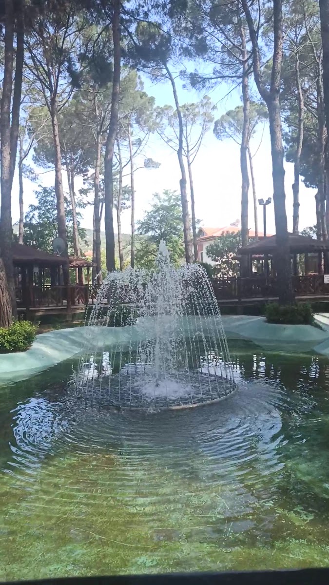 Osmancık Belediyesi Tabiat Park Sosyal Tesisleri — fotoğraf 3