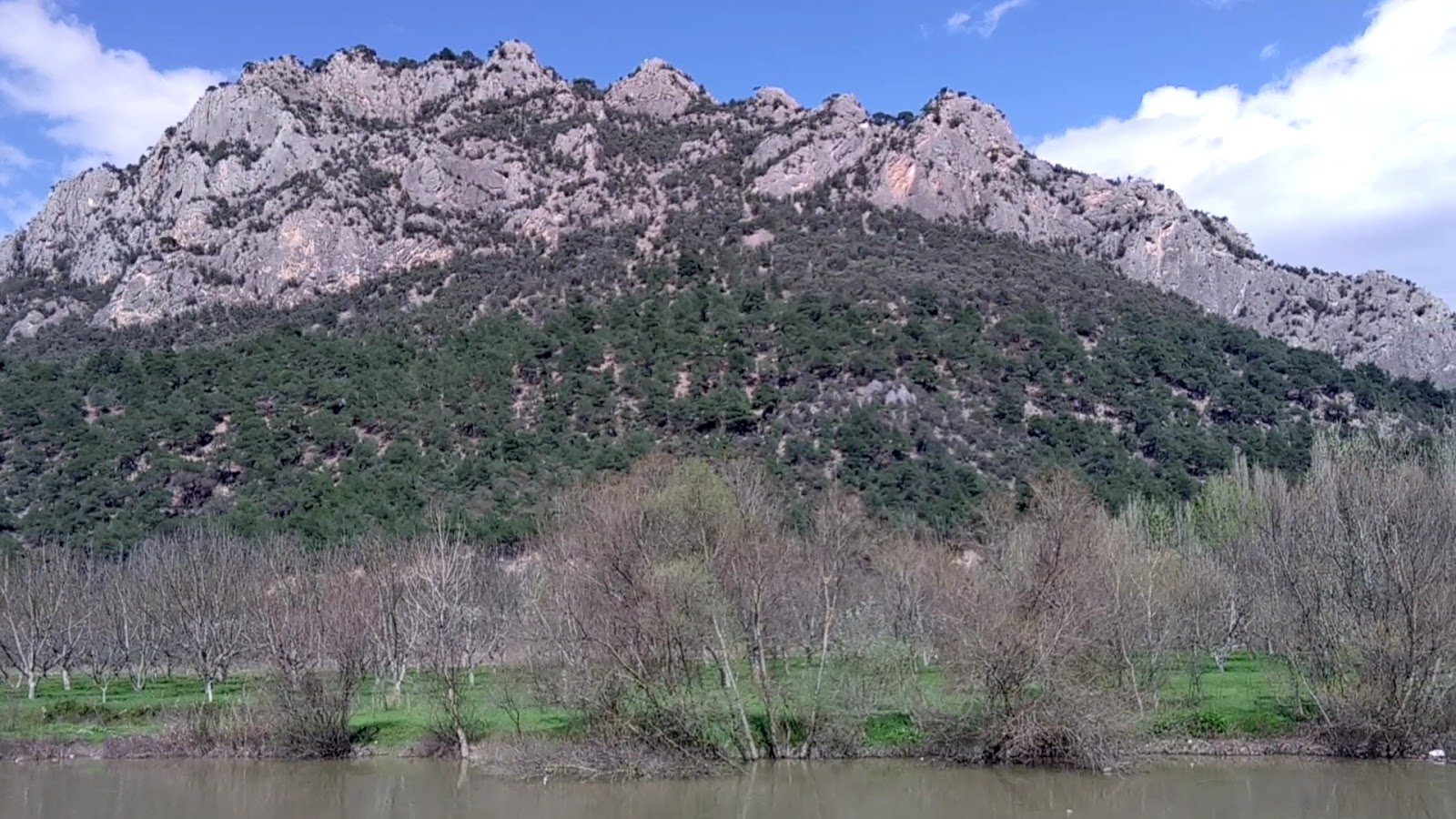 Osmaneli Parkı — fotoğraf 2