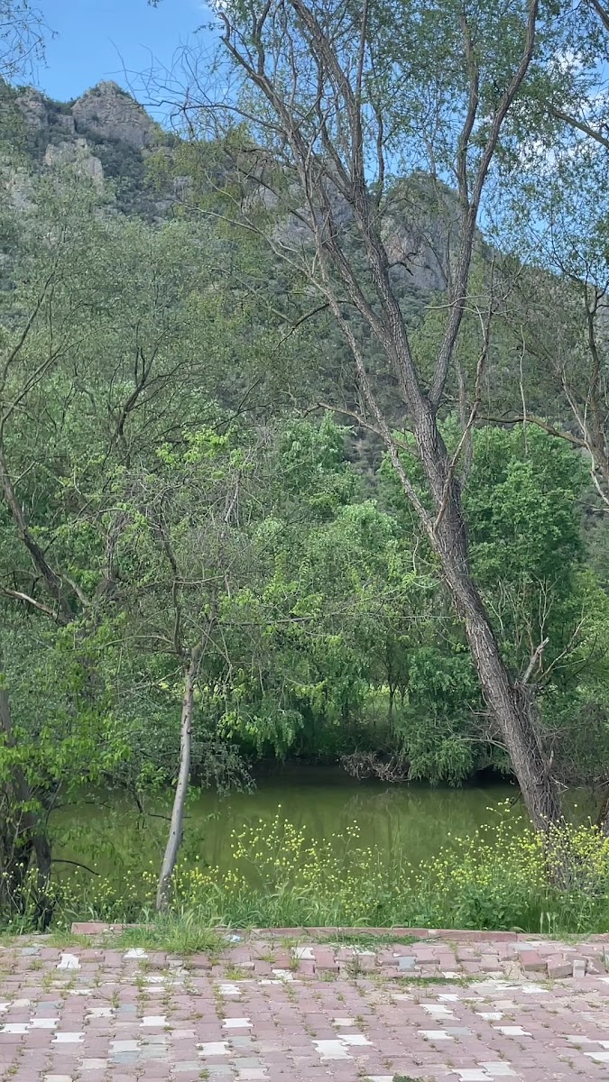 Osmaneli Parkı — fotoğraf 3