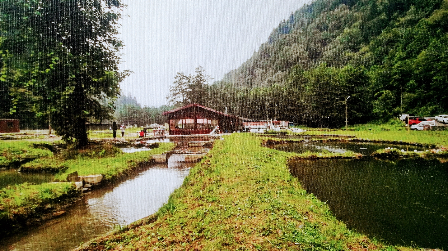 Osmanlı Alabalık Üretim Tesisi ve restorant — fotoğraf