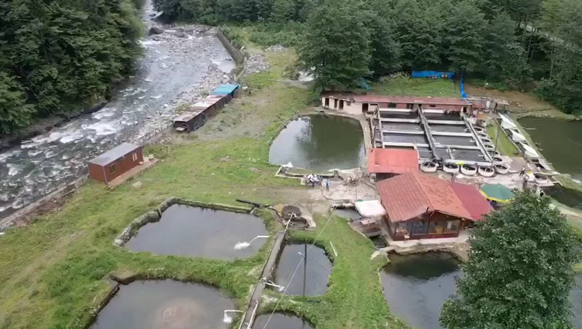 Osmanlı Alabalık Üretim Tesisi ve restorant — fotoğraf 2