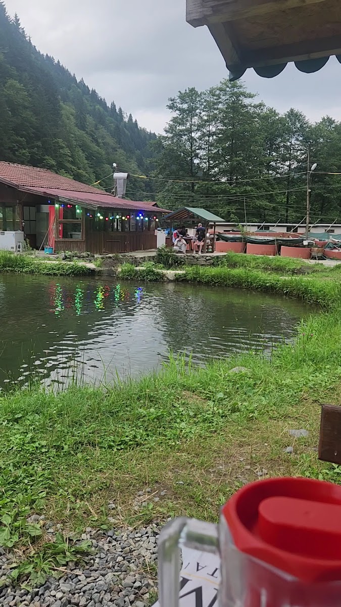 Osmanlı Alabalık Üretim Tesisi ve restorant — fotoğraf 3