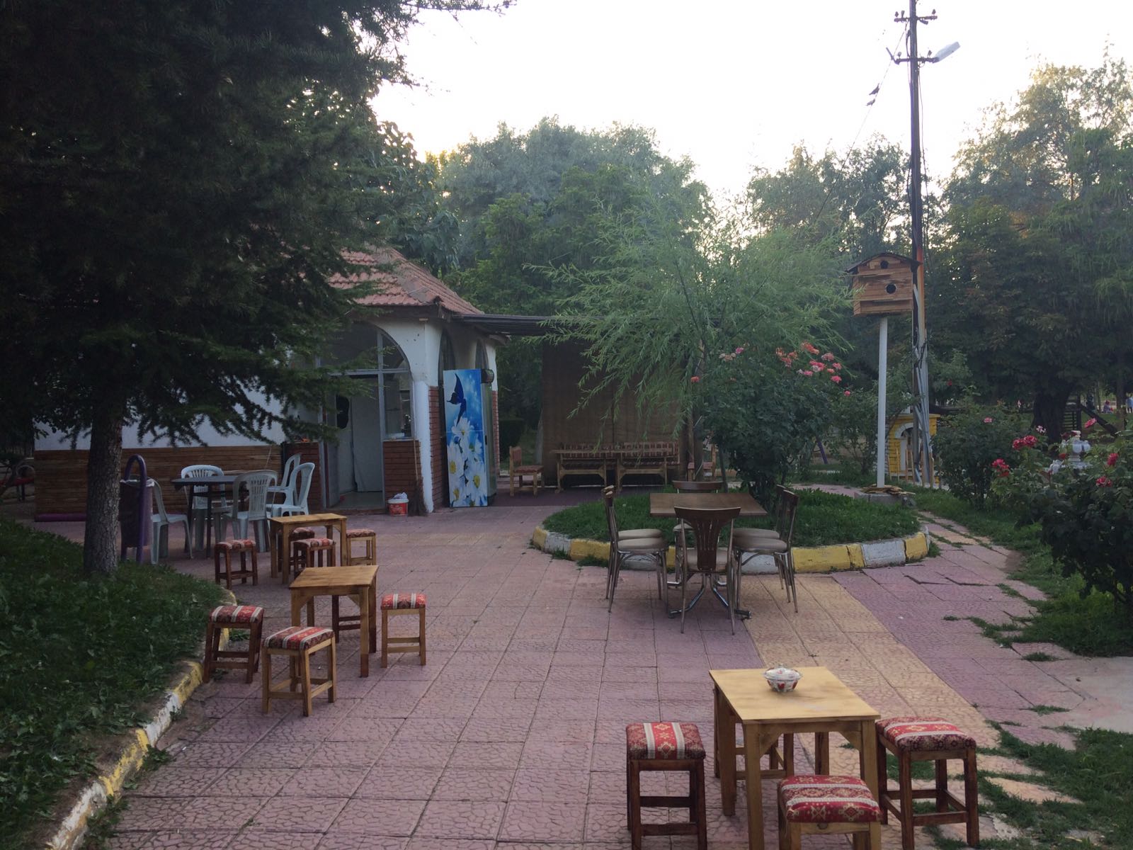 Osmanlı Alabalık — fotoğraf
