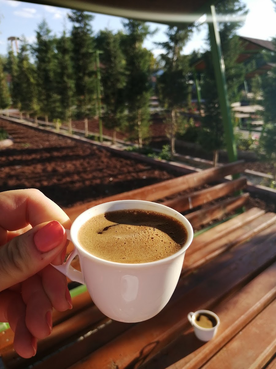 Osmanlı Alabalık — fotoğraf 2