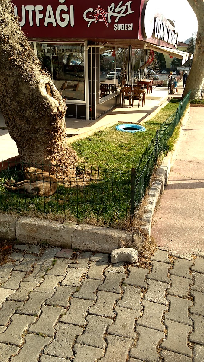 Osmanlı Mutfağı — photo 3