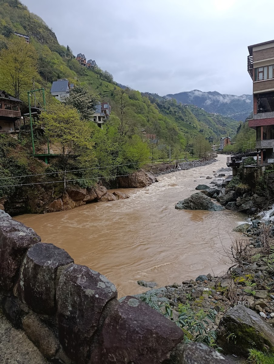 Osmanlı Restaurant — fotoğraf 2