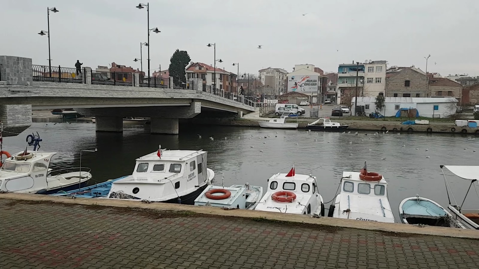Osnabrück Parkı — fotoğraf 3