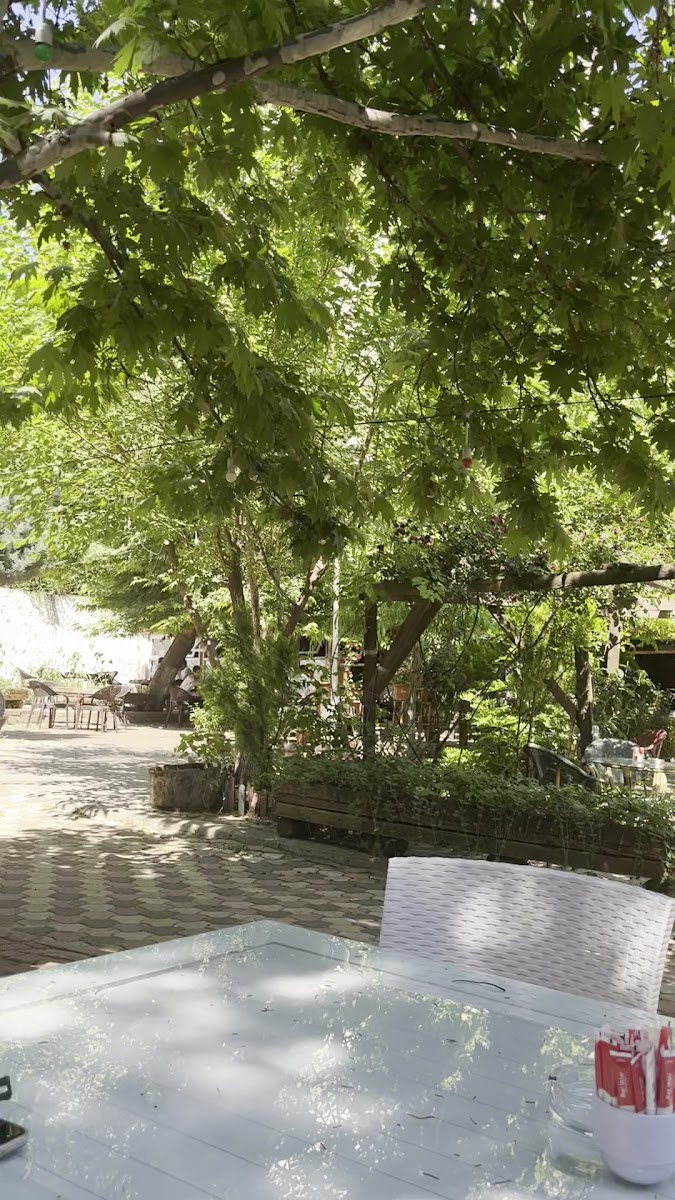 OTAĞ ÇAY BAHÇESİ — fotoğraf 3