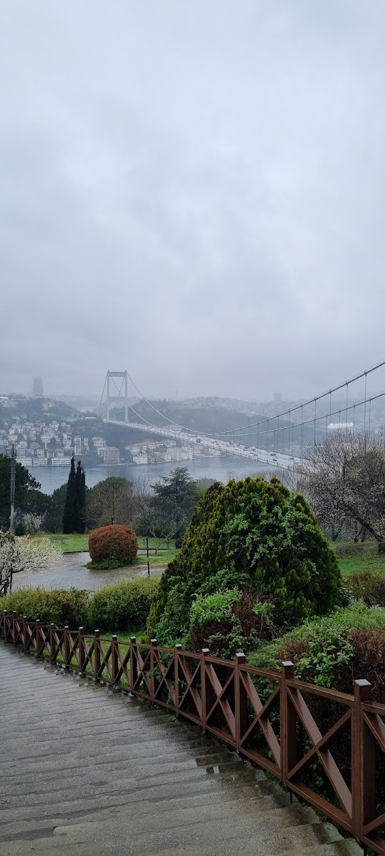 Otağtepe Fatih Korusu — fotoğraf 2