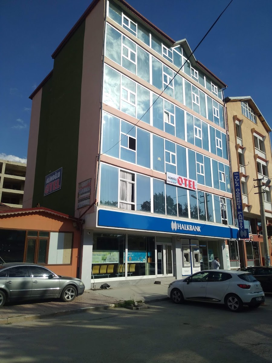 Otel ALiMOGLU — photo 3