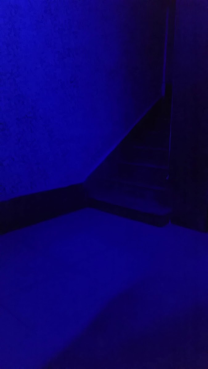 Otel Grand Derya — fotoğraf 3