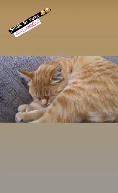 Otel Saracoğlu — fotoğraf 7