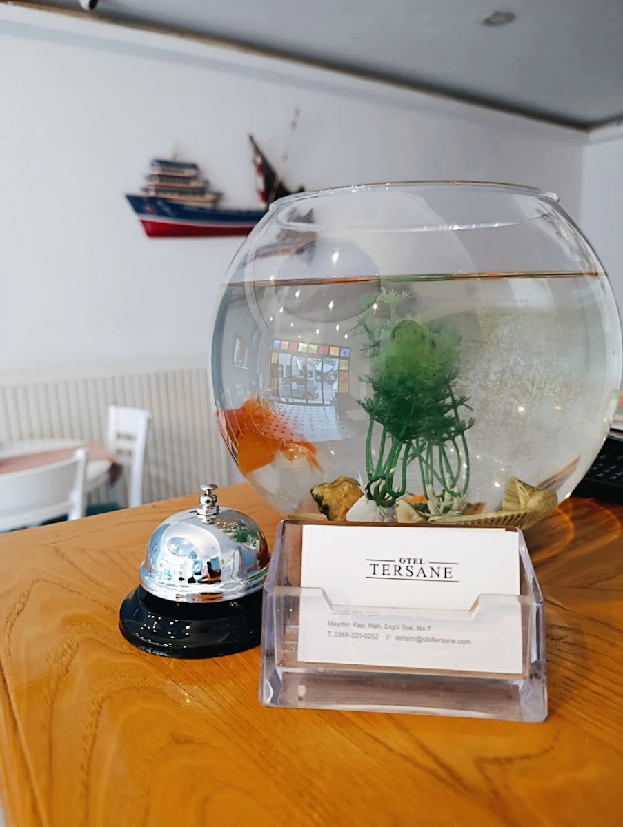 OTEL TERSANE — fotoğraf 4