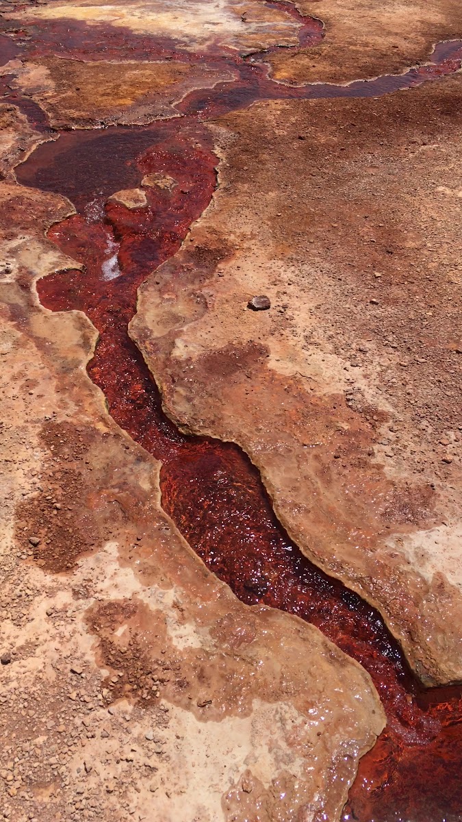 Otlukbeli Gölü — fotoğraf 3