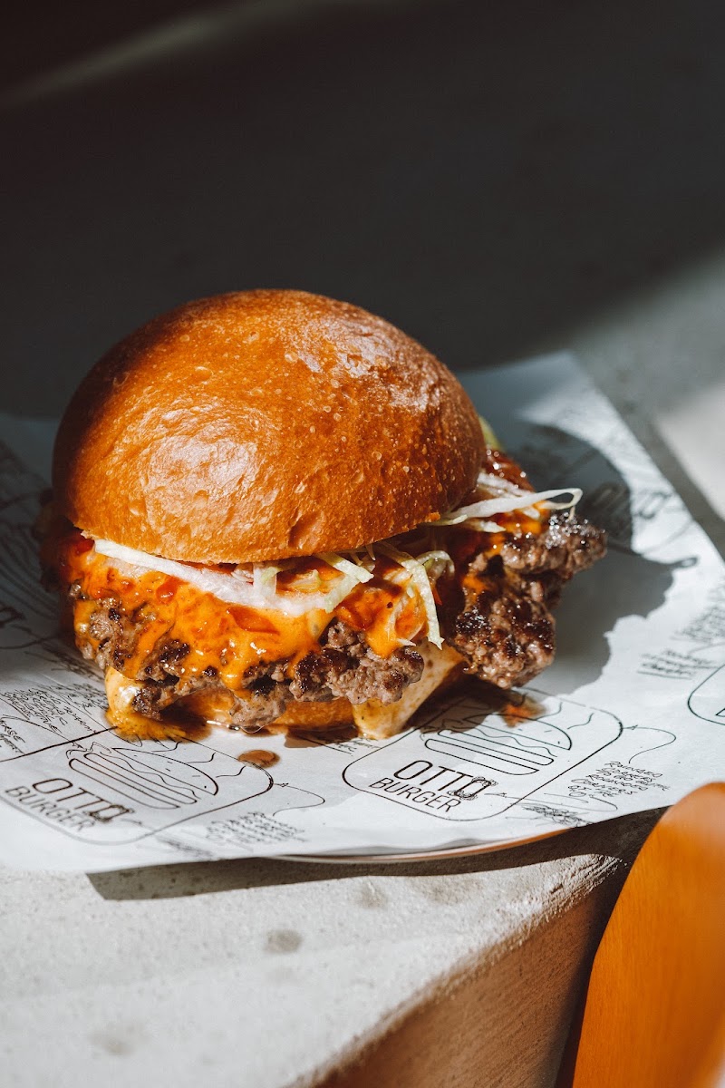 Otto Burger — photo 5