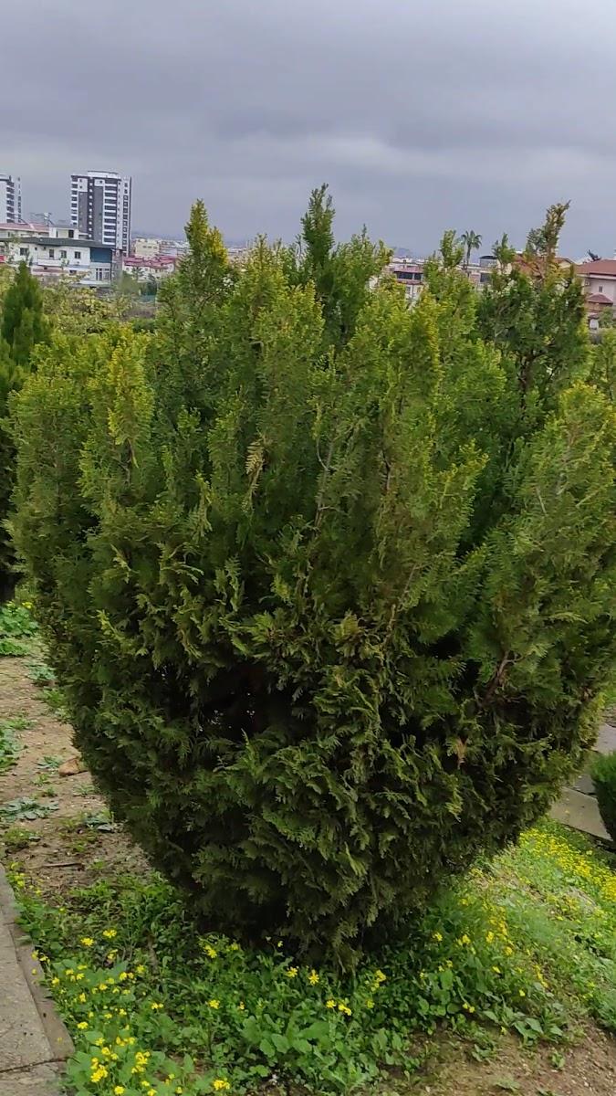 Ötüken Vadisi — fotoğraf 2