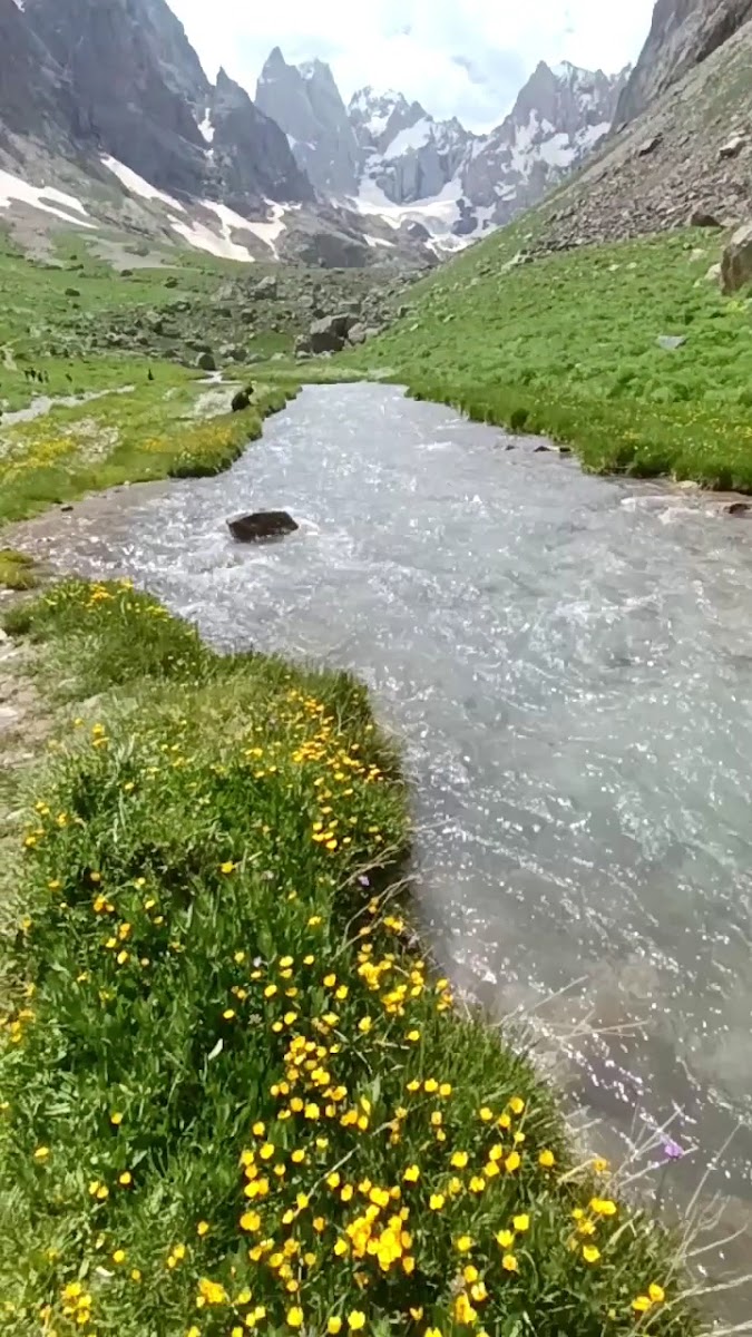 Ova Dinlenme Tesisi — photo 3
