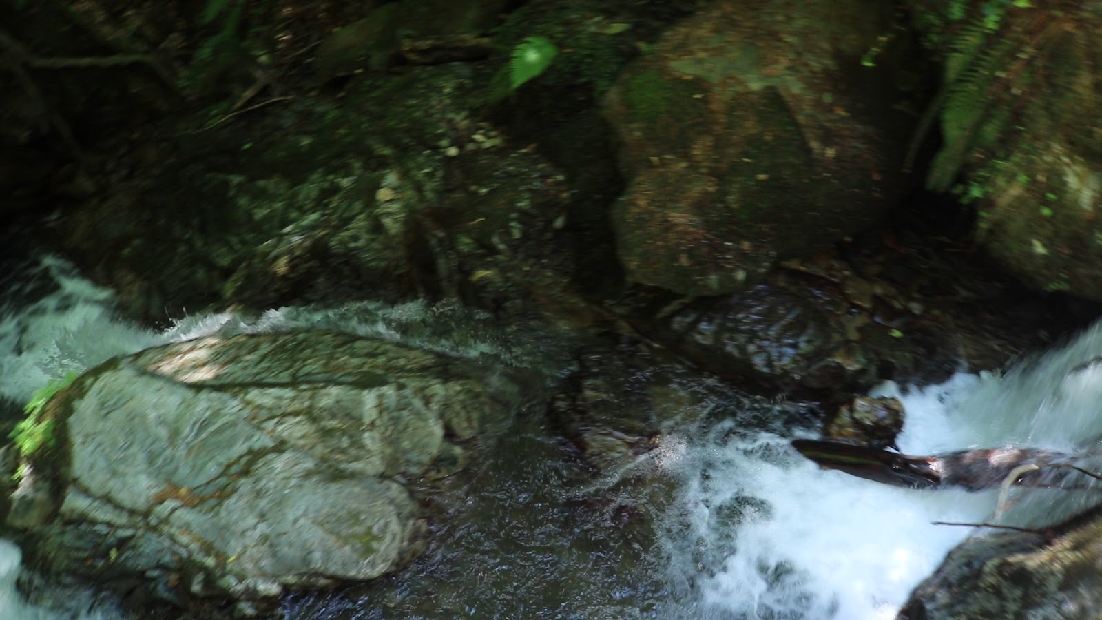 Oylat Kaplıcaları — fotoğraf 3