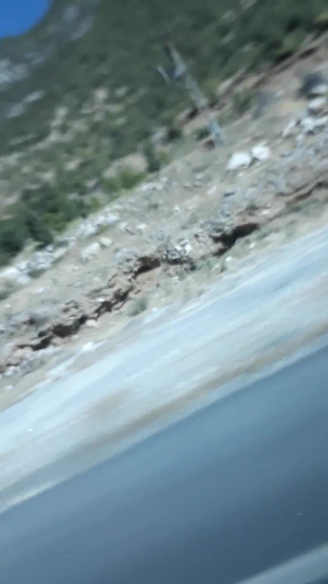 Öz Yaşam Kaplıcaları ve Termal Tesisleri — fotoğraf 3