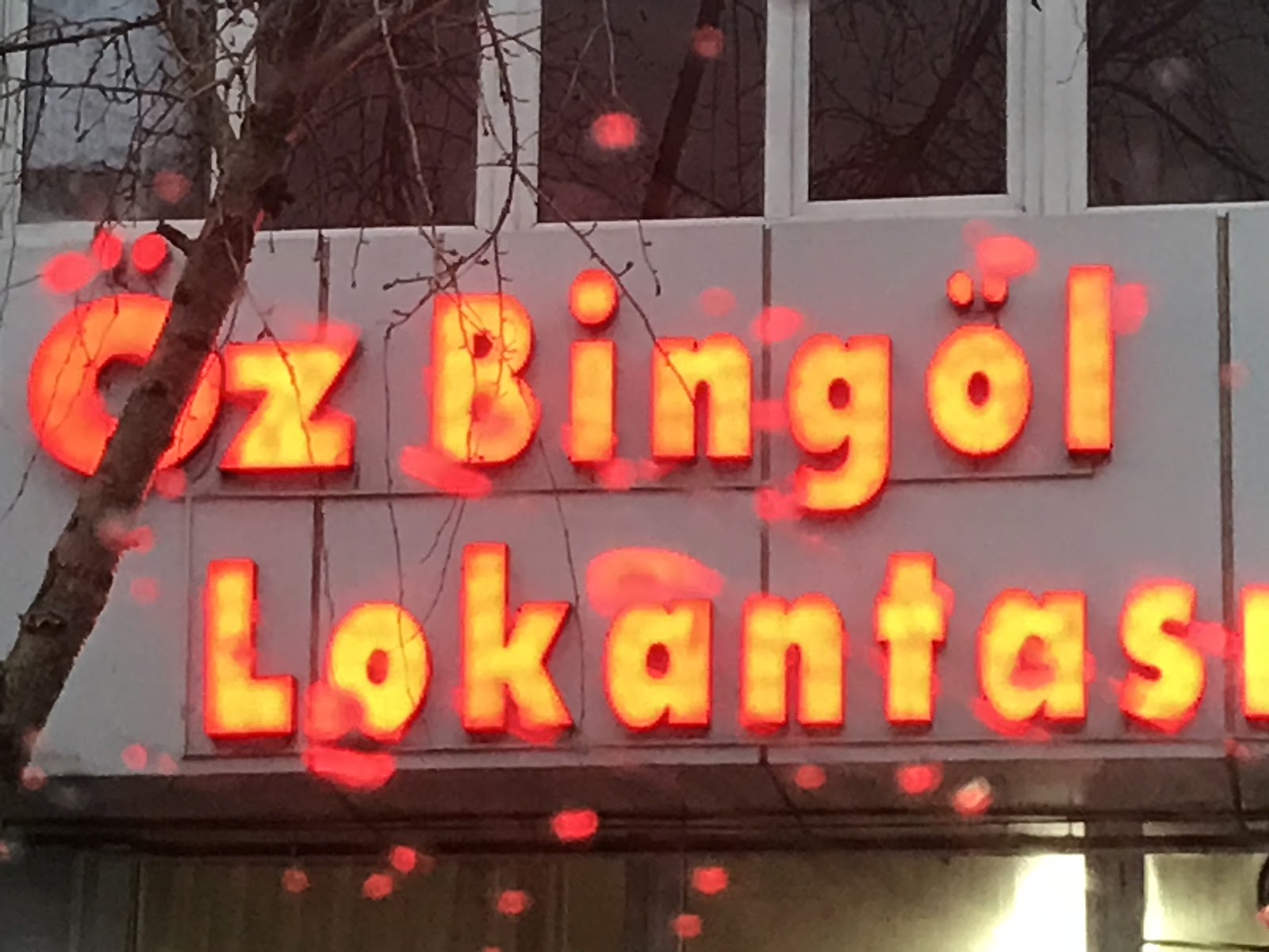Özbingöl Lokantası — fotoğraf 4
