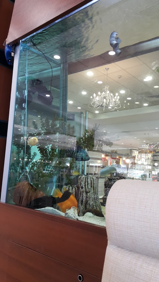 Özdilek Afyonkarahisar AVM — fotoğraf 2