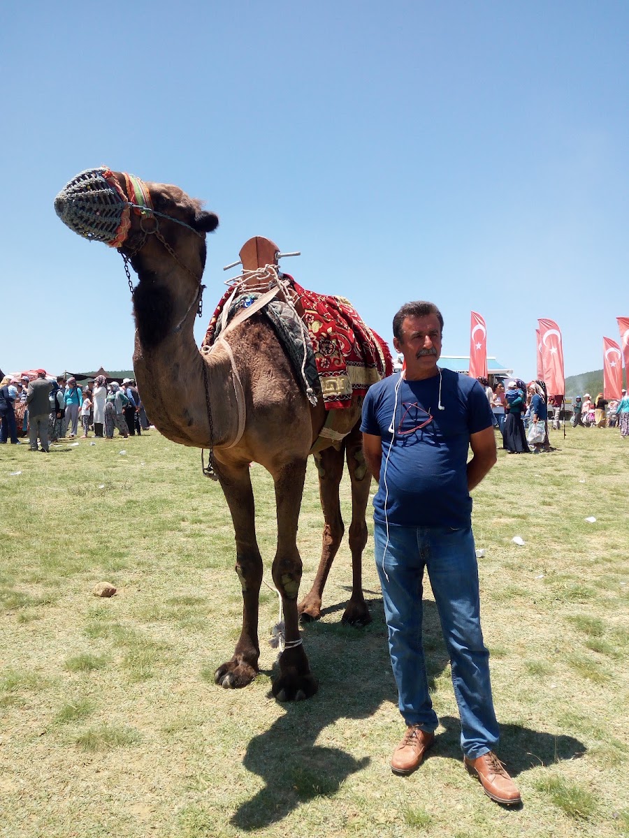 Özen Son Durak — photo