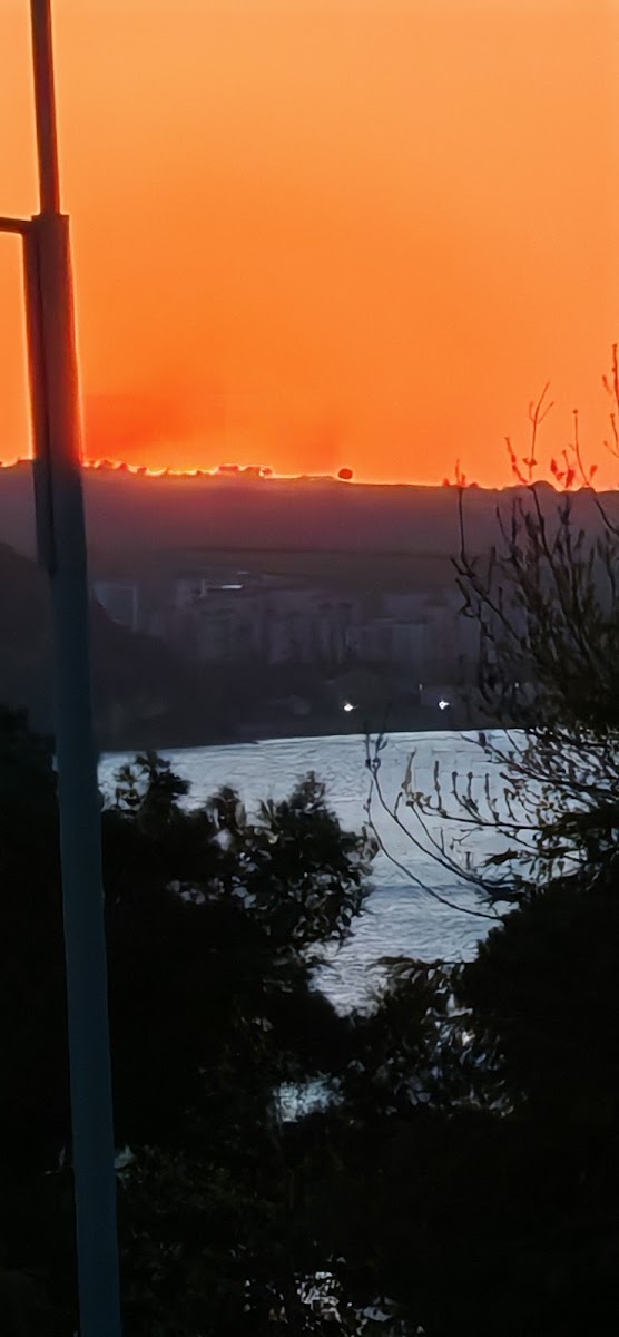 Özgürlük Parkı — fotoğraf 2