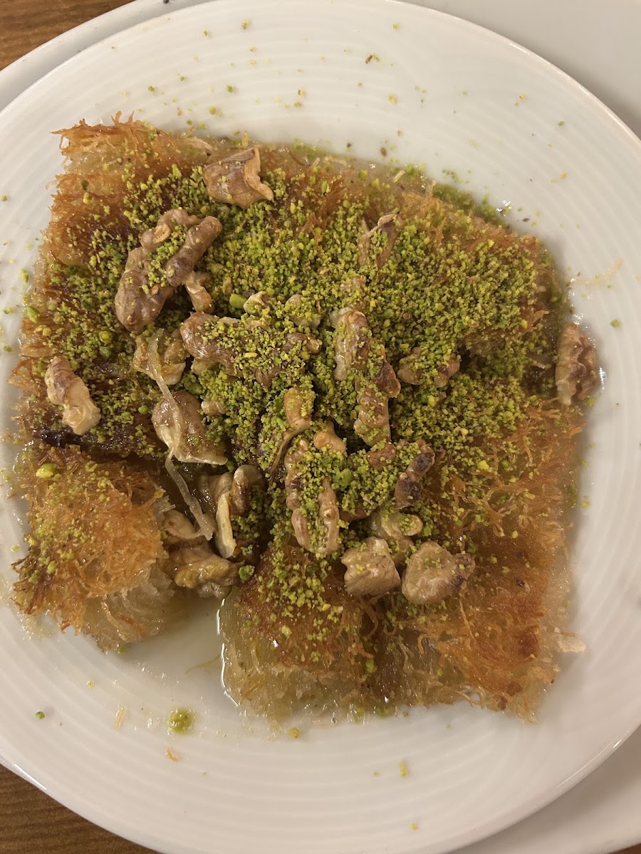 Özler Döner — fotoğraf 5
