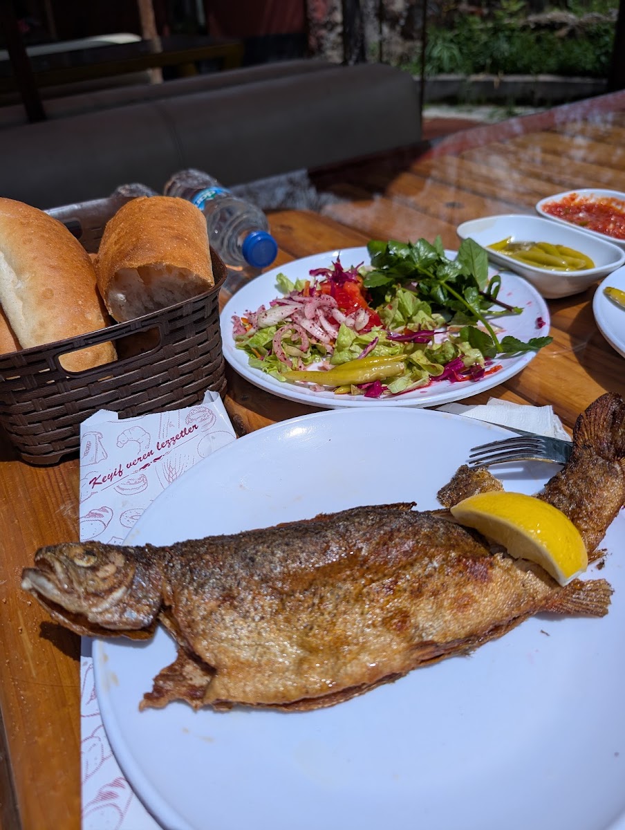 Özşahsenem Alabalık Çiftliği Tesisleri — photo 3