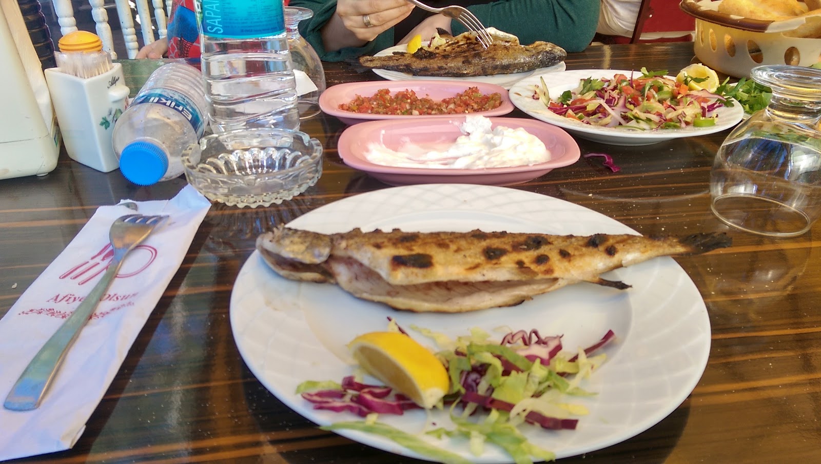 Özşahsenem Alabalık Çiftliği Tesisleri — photo 6