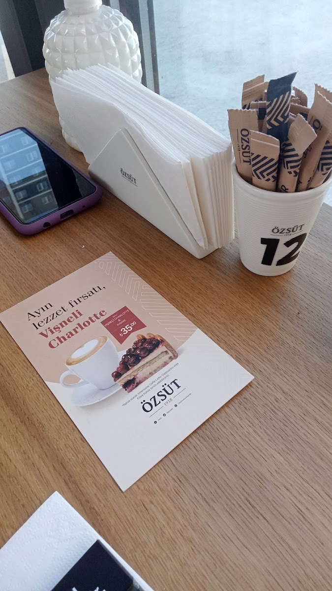 Özsüt Kastamonu — fotoğraf 4