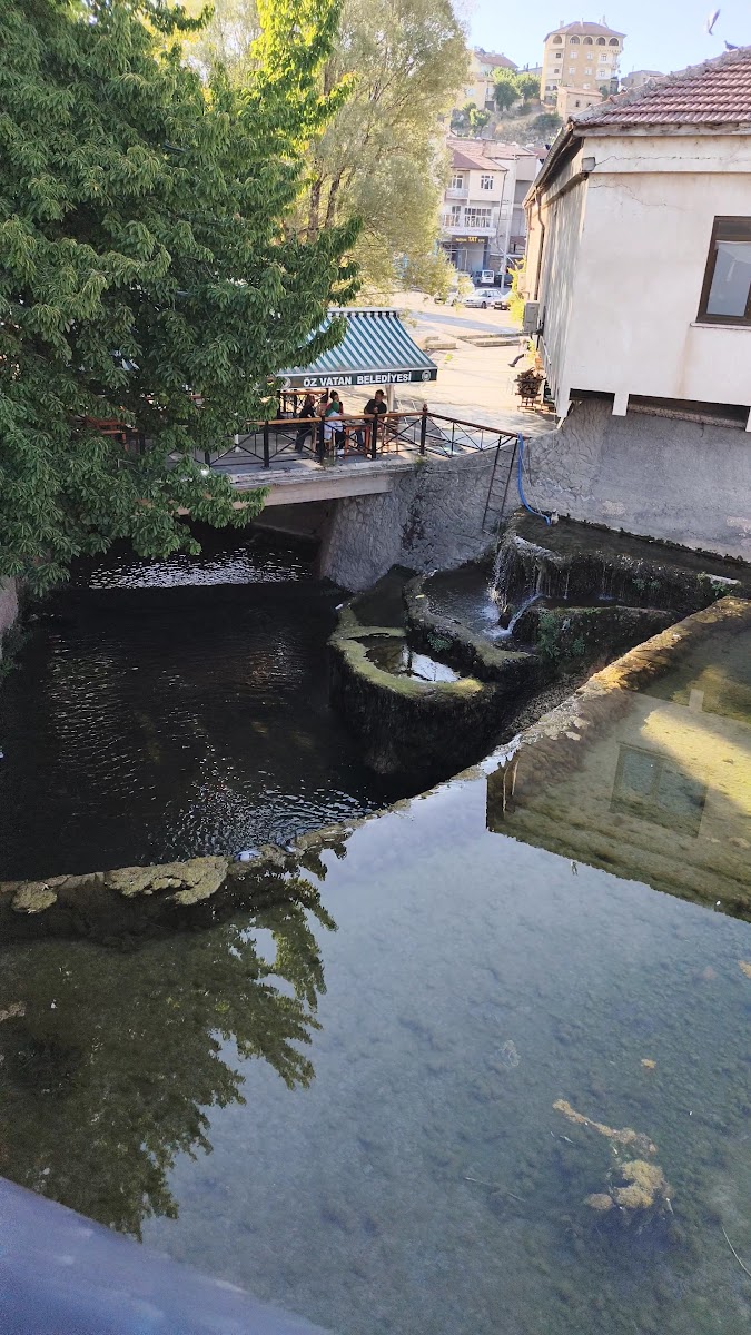 Özvatan Belediye Lokantası — photo 3