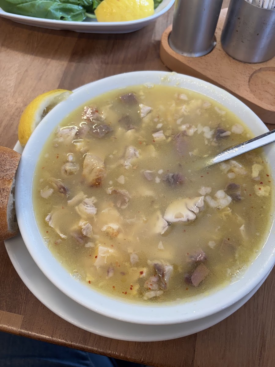 PAÇACI APO — fotoğraf 2