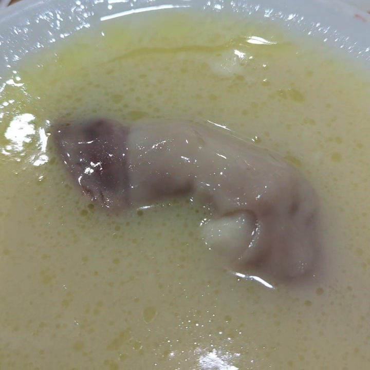 Paçacı Necip Usta — fotoğraf 3