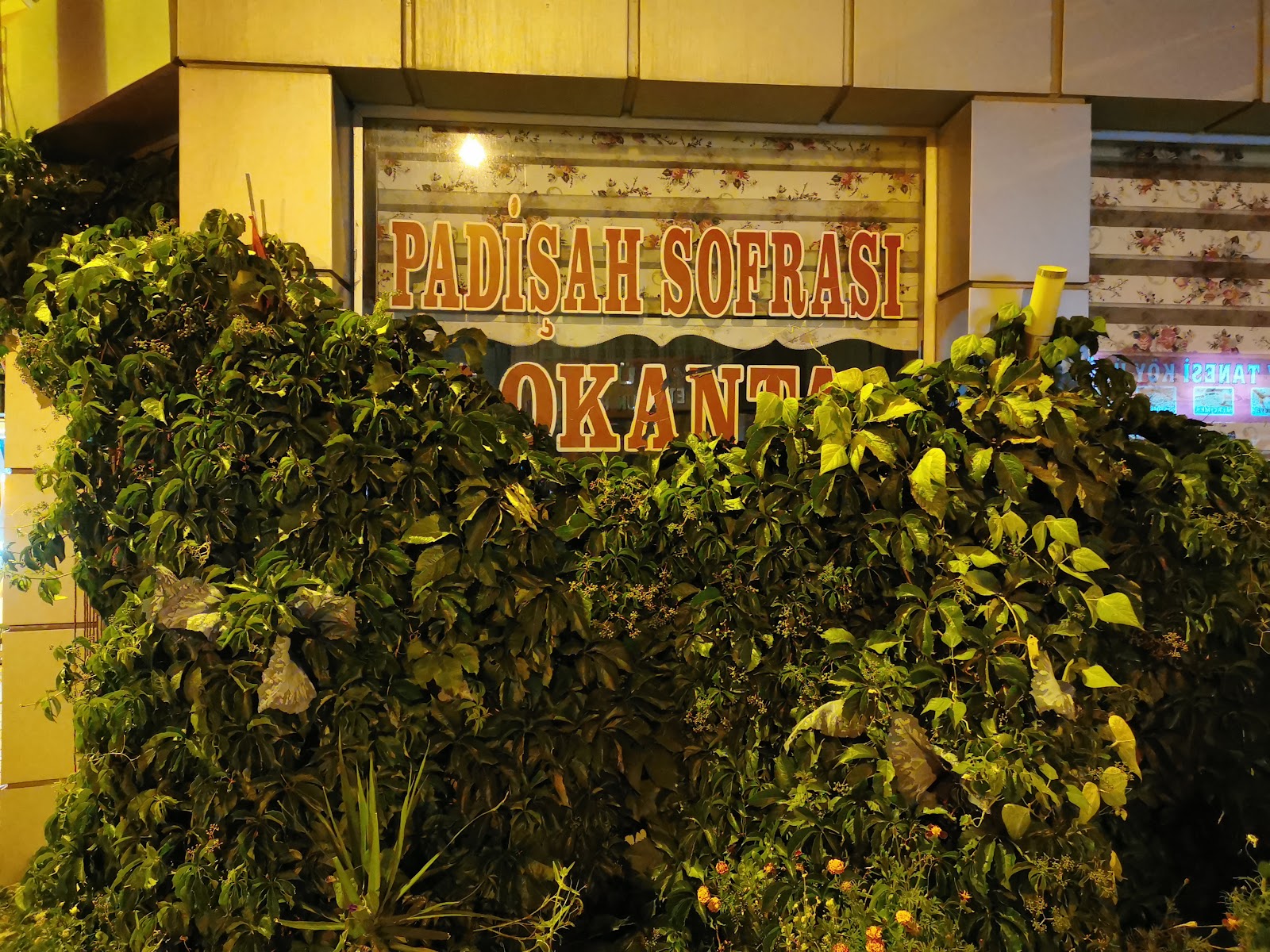 Padişah sofrası — fotoğraf 1