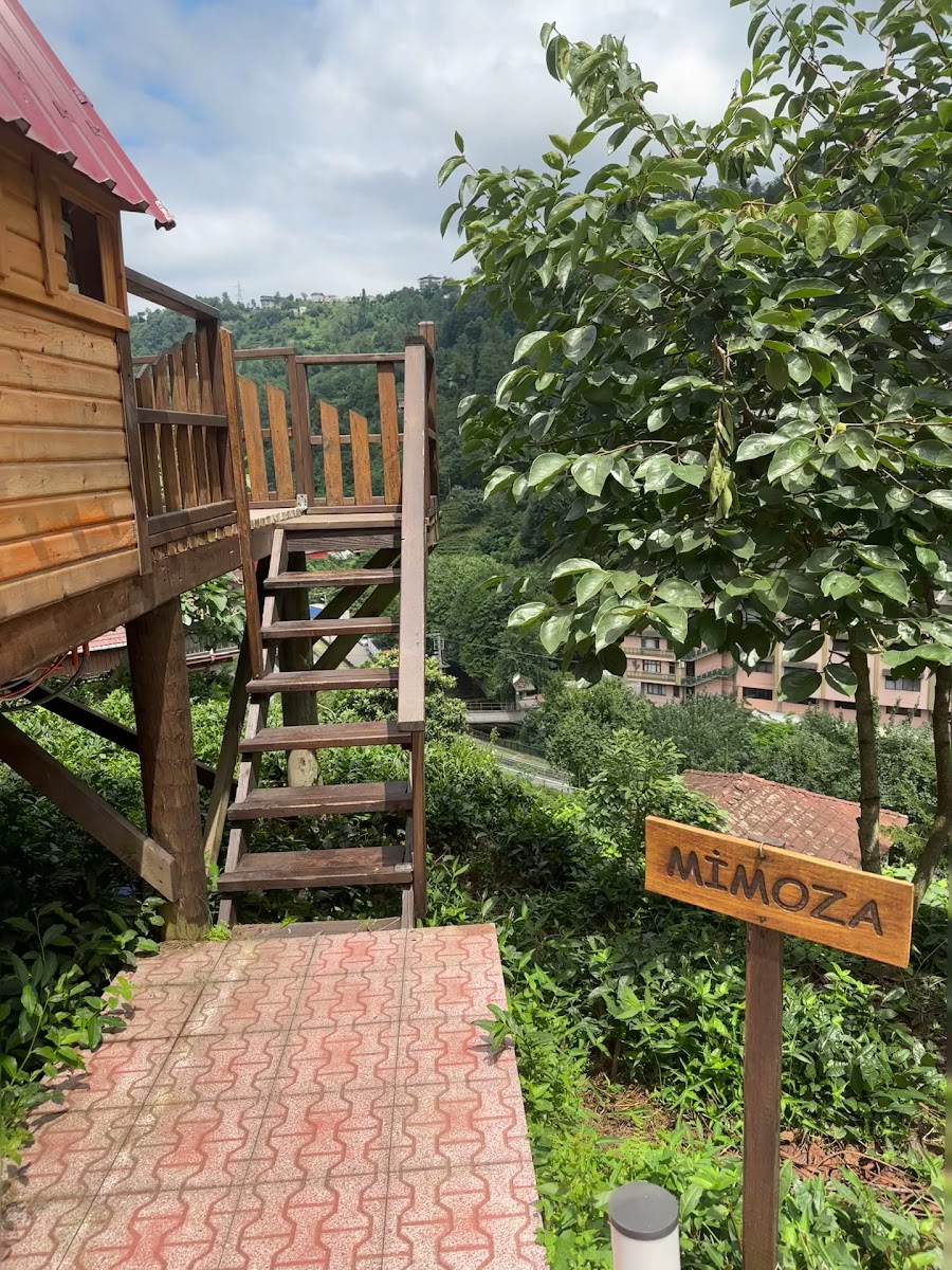 Pafuli Bungalov Rize — fotoğraf 3