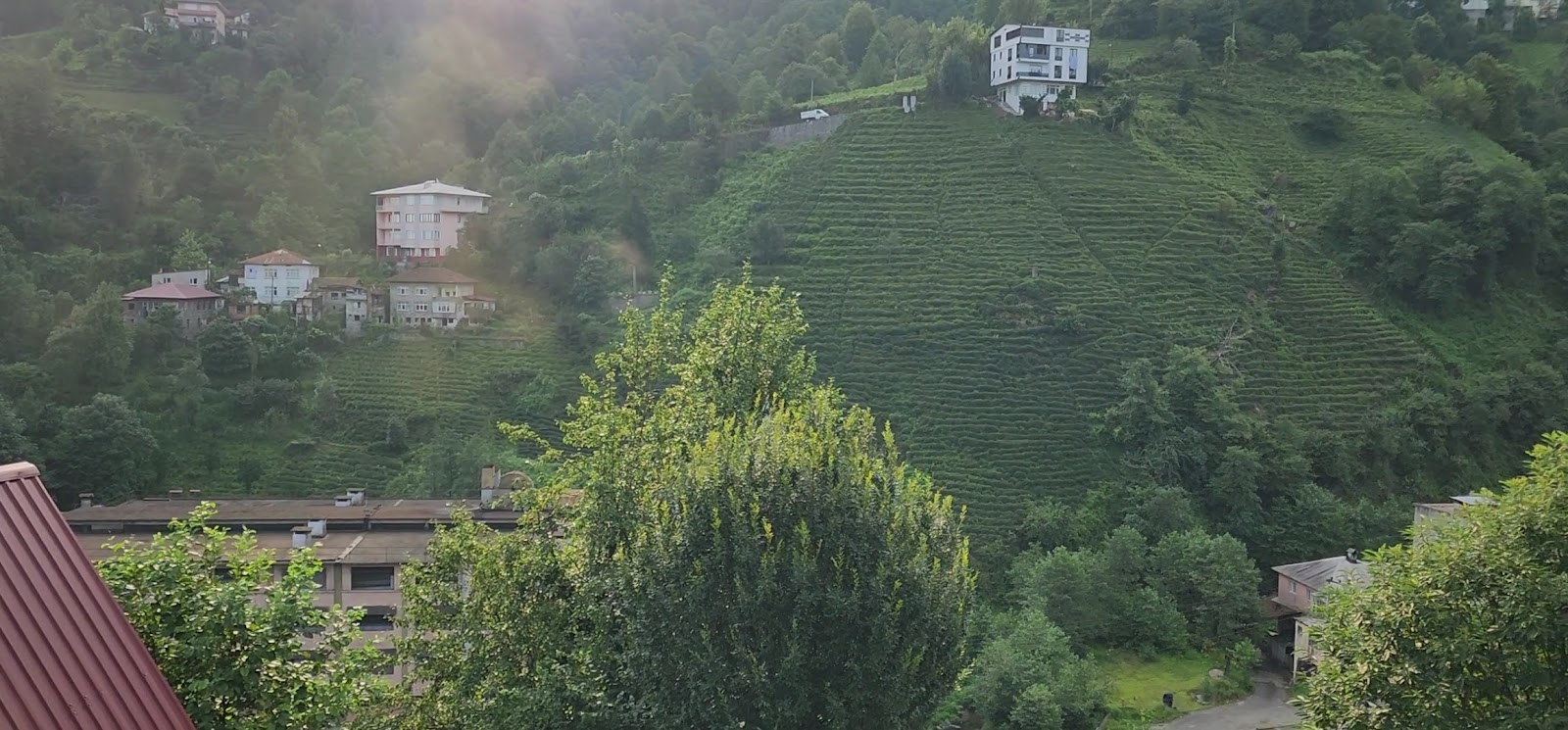 Pafuli Bungalov Rize — fotoğraf 4