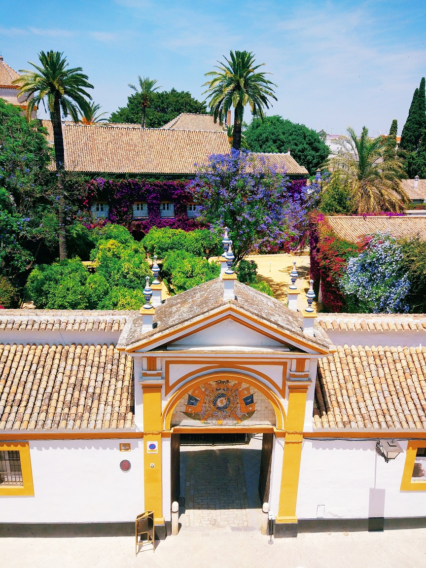 Palacio de las Dueñas — photo 4