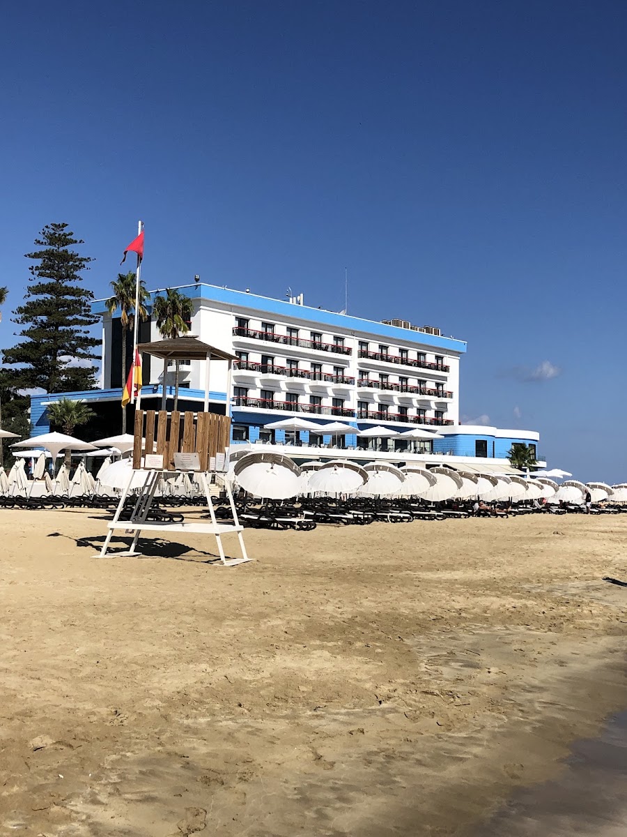 Palm Beach Plajı — photo