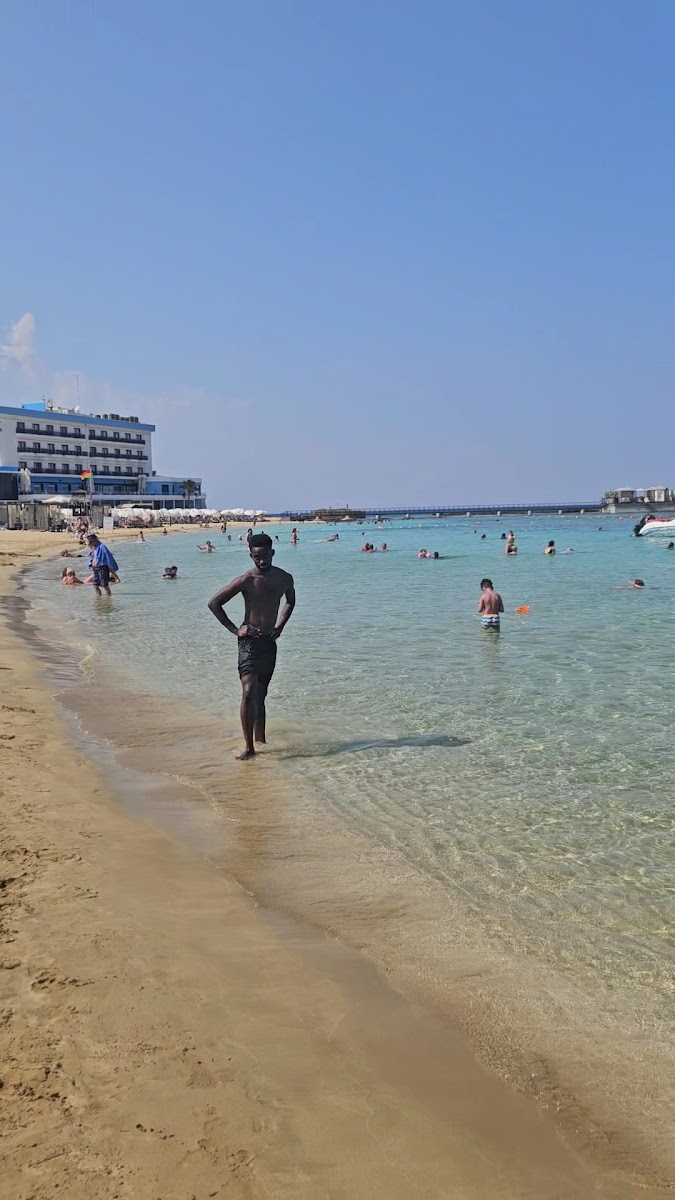 Palm Beach Plajı — photo 3